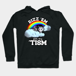 Rizz Em With The Tism Rainbow Funny Opossums Hoodie